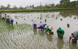 HỘI VIÊN PHỤ NỮ XÃ BÌNH AN NHẬN RUỘNG SẢN XUẤT GÂY QUỸ LÀM TỪ THIỆN