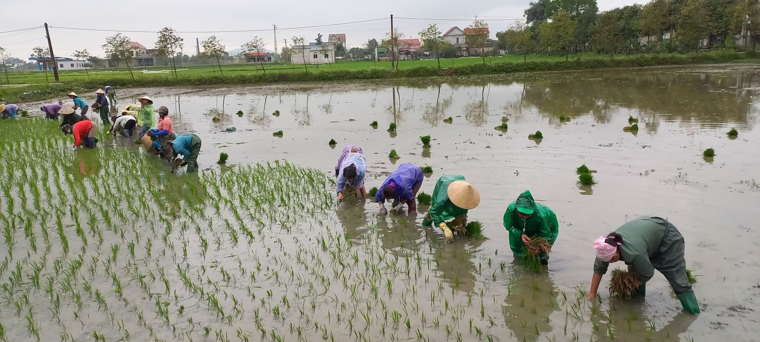 HỘI VIÊN PHỤ NỮ XÃ BÌNH AN NHẬN RUỘNG SẢN XUẤT GÂY QUỸ LÀM TỪ THIỆN